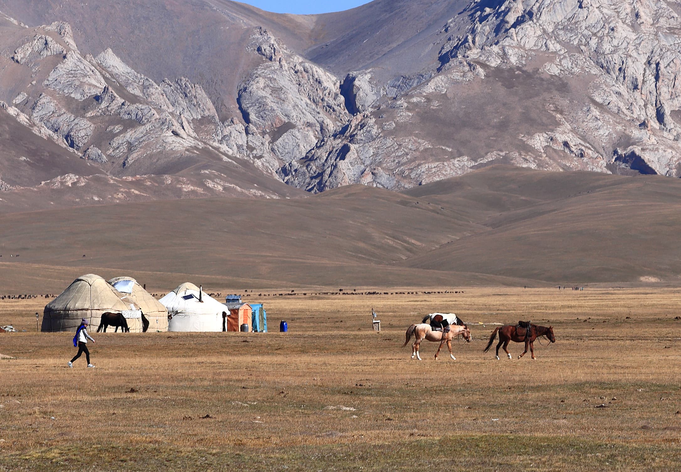 Four Stans Grand Circuit: The Ultimate Central Asia Overland